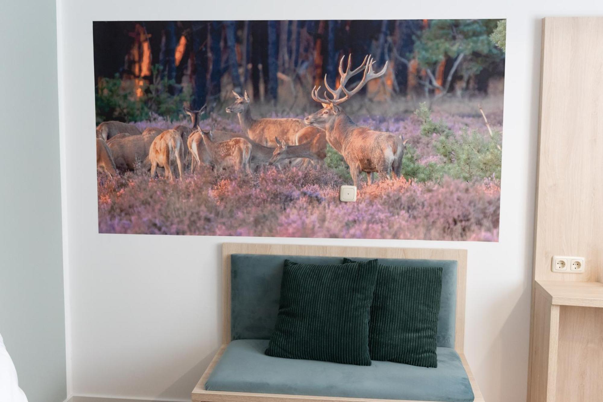 Aparthotel Harzhold - Auszeit In Lerbach Osterode am Harz Esterno foto